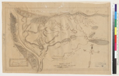 Diseño: Alamos y Aguas Caliente