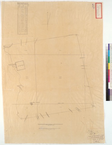 Diseño: Campo de los Franceses