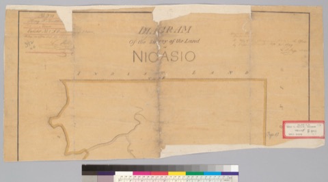 Diseño: Diagram of the survey of the land of Nicasio : [Marin Co., Calif.] / Jasper O'Farrell, C.E (sheet 1)