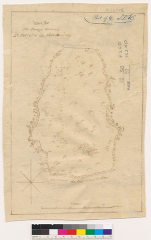 Diseño: Diseño del parage llamado el Potrero de San Jacinto (sheet 2)