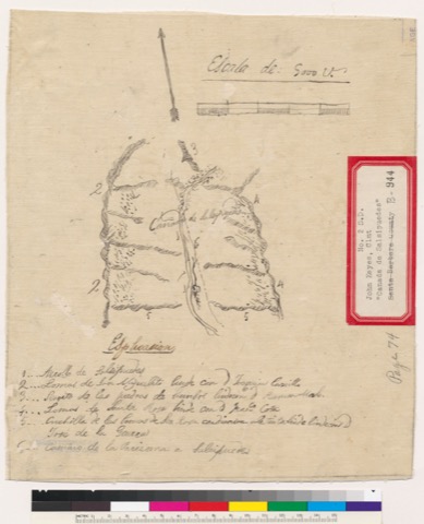 Diseño: Diseño del Rancho Cañada de Salsipuedes : Calif.