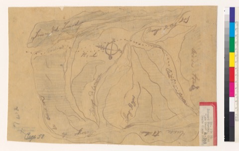 Dise&ntilde;o of Las Uvas