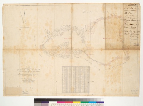 Diseño: Map of the final survey of the Rancho de Novato, granted and finally confirmed to Bezar Simmons : [Marin Co., 