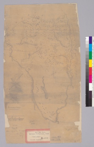 Diseño: Map of the land of Petaluma