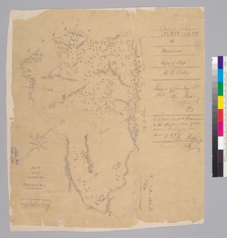 Diseño: Map of the land of Petaluma