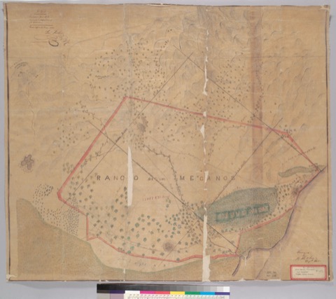 Diseño: Map of the Rancho Los Meganos : Calif.] / surveyed by J.E. Whitcher, Dept. Sur