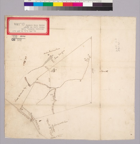 Diseño: Map of the Rancho Tres Ojos de Agua : Calif.
