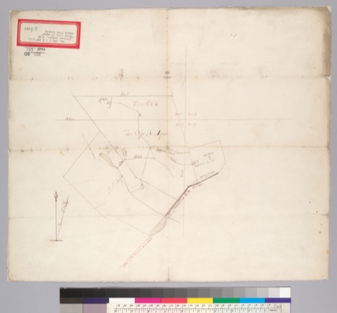 Diseño: Map of the Rancho Tres Ojos de Agua : Calif.