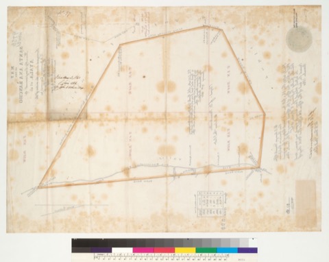 Diseño: Map of the Santa Ana Rancho [Calif.] : finally confirmed to Ayala et al. / surveyed under the orders of the U.