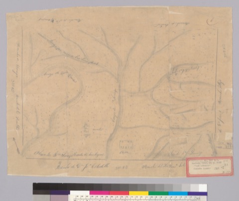 Diseño: Plan de Sn. Lorenzo [i.e., San Leandro], rancho de Dn. Jon. Estudillo, plan de Sn. Lorenzo, rancho del S[eñ]or