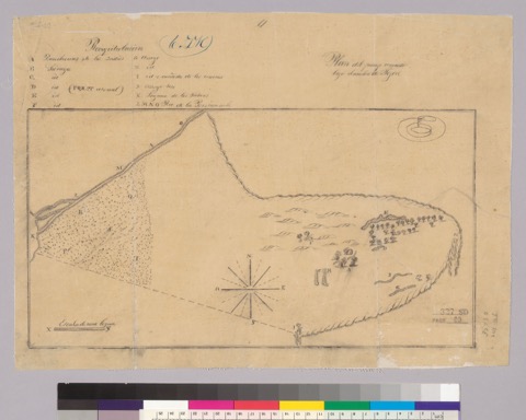 Diseño: Plan del paraje conocido bajo el nombre de Tejon / [Esteban Ardisson