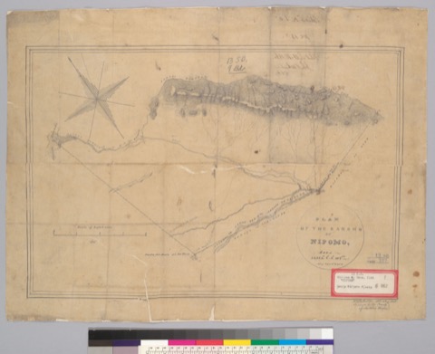 Dise&ntilde;o of Nipomo