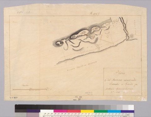 Diseño: Plano del terreno nombrado Rancho de Maniz que pretende Manuel Torres