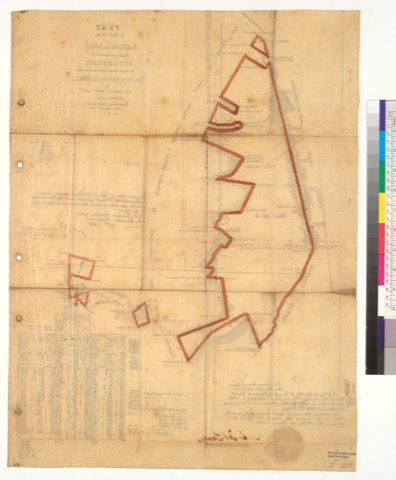 Diseño: Plat of part of the Rancho de Napa, finally confirmed to Otto H. Frank : [Napa Co., Calif.] / Surveyed under i