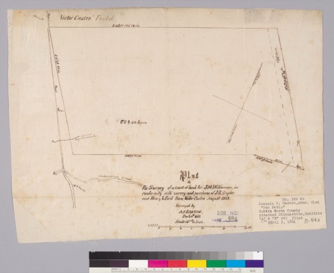 Diseño: Plat of re-survey of a tract of land for J.M. Williamson, in conformity with survey and purchase of J.R. Snyde