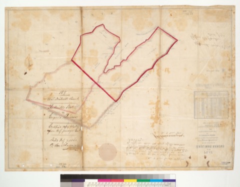 Diseño: Plat of the Baulinas Rancho [Calif.] : finally confirmed to Gregorio Briones / surveyed under instructions fro