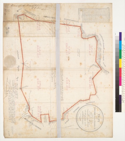 Diseño: Plat of the Ex Mission de San Fernando [Calif.] : finally confirmed to Eulogio de Celis / surveyed under instr