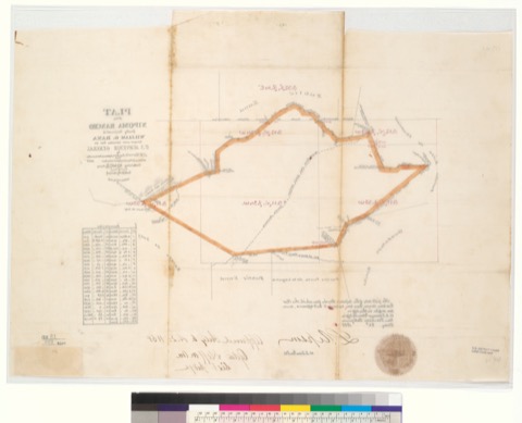 Diseño: Plat of the Nipoma Rancho [Calif.] : finally confirmed to William G. Dana / surveyed under instructions from t