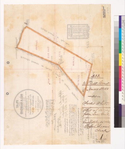 Diseño: Plat of the Pala Rancho [Calif.] : finally confirmed to Ellen E. White et al. (widow and heirs of Charles Whit