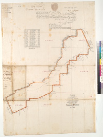 Diseño: Plat of the Rancho Carne Humana, finally confirmed to the heirs of Edward Bale : [Napa Co., Calif.] / Surveyed