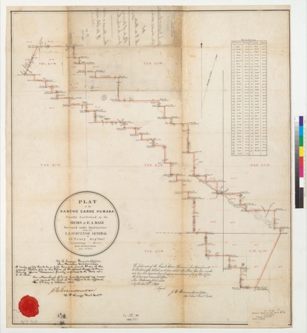 Diseño: Plat of the Rancho Carne Humana, finally confirmed to the heirs of E.A. Bale : [Napa Co., Calif.] / Surveyed u