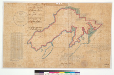 Diseño: Plat of the Rancho Corte de Madera del Presidio, finally confirmed to heirs of John Read : [Marin Co., Calif.]