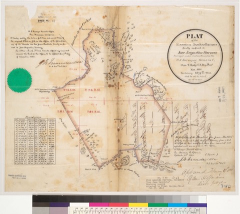 Diseño: Plat of the Rancho de San Juan Bautista, finally confirmed to José Augustine Narvaez : [Santa Clara Co., Calif