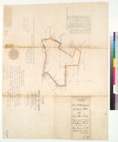 Dise&ntilde;o of Las Animas