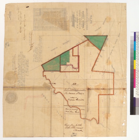 Diseño: Plat of the Rancho Llano de Santa Rosa, finally confirmed to Joaquin Carillo : [Sonoma Co., Calif.] / Surveyed