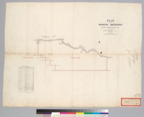 Diseño: Plat of the Rancho Medanos in Contra Costa County, Cal. / surveyed by James F. [i.e., T.] Stratton, April 1865