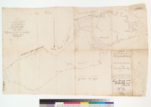 Diseño: Plat of the Rancho San Pedro, Santa Margarita, Las Guillinas [Calif.] : finally confirmed to Timothy Murphy / 