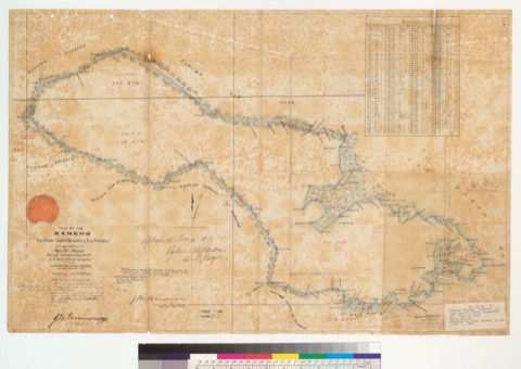 Diseño: Plat of the Rancho "San Pedro, Santa Margarita y Las Gallinas" [Calif.] : finally confirmed to Timothy Murphy 