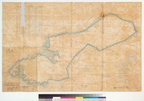 Diseño: Plat of the Rancho "San Pedro, Santa Margarita y Las Gallinas" [Calif.] : finally confirmed to Timothy Murphy 