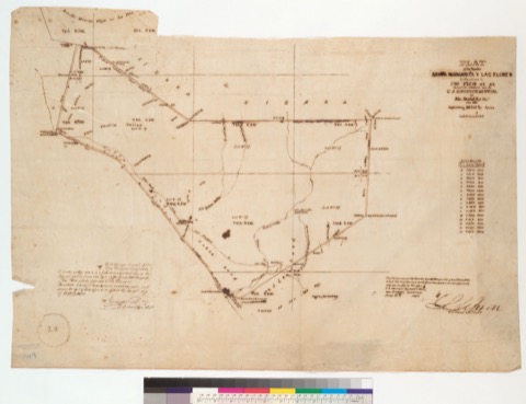 Diseño: Plat of the Rancho Santa Margarita y Las Flores [Calif.] : finally confirmed to Pio Pico et al. / surveyed und