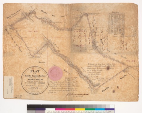 Diseño: Plat of the Rancho Tomales y Baulines, finally confirmed to Bethuel Phelps : [Marin Co., Calif.] / Surveyed un