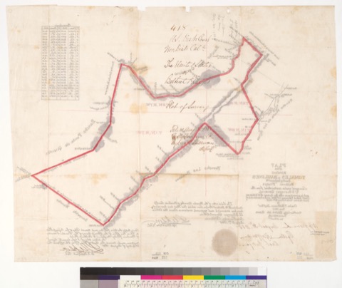 Diseño: Plat of the Rancho Tomales y Baulines, finally confirmed to Bethuel Phelps : [Marin Co., Cal.] / Surveyed unde