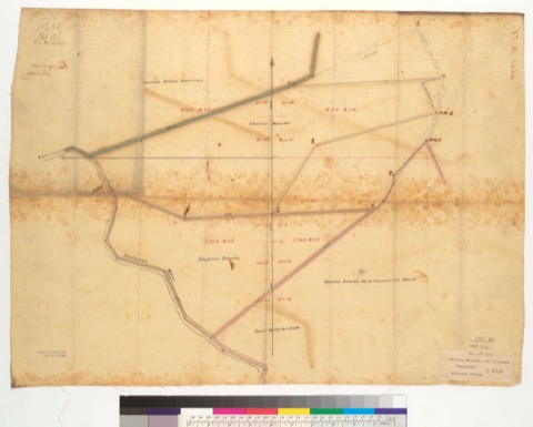 Diseño: Plat of the Ranchos Chualar and Zanjones : Calif. (sheet 1)