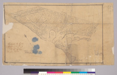 Diseño: Pueblo lands of San Diego, Calif. / Henry D. Fitch