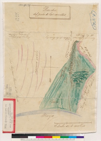 Dise&ntilde;o of Del Paso