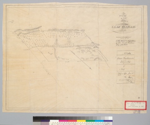 Diseño: Survey of land belonging to [I]saac Graham