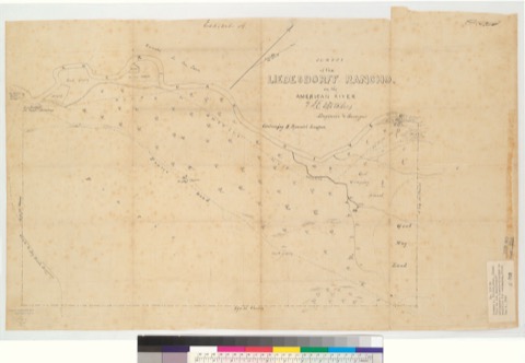 Diseño: Survey of the Liedesdorff Rancho, on the American River : [Rancho Rio de los Americanos, Sacramento County, Ca