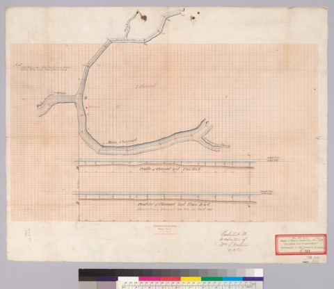 Dise&ntilde;o of Sanjon De Los Moquelumnes