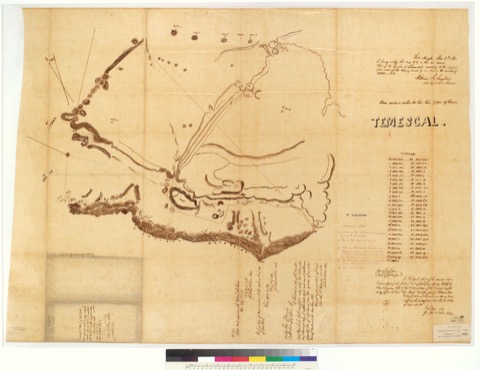 Diseño: Temescal (sheet 1)