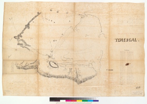 Diseño: Temescal (sheet 1)